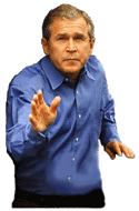 bush